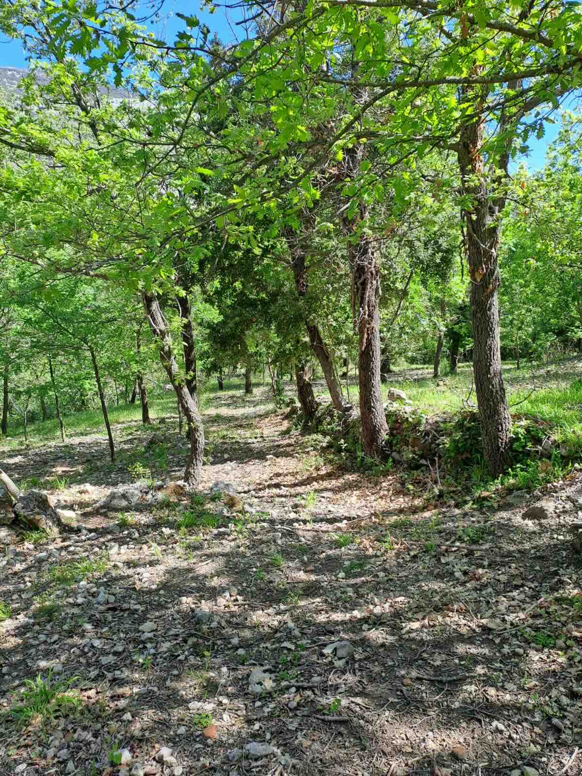 Sorgente naturale e ruscello - Sentiero di Nocciole